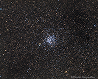 M 11 Wild Duck Star Cluster
